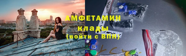 сатива Сосновка