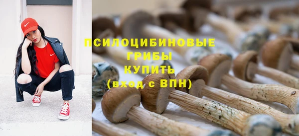 СК Волосово