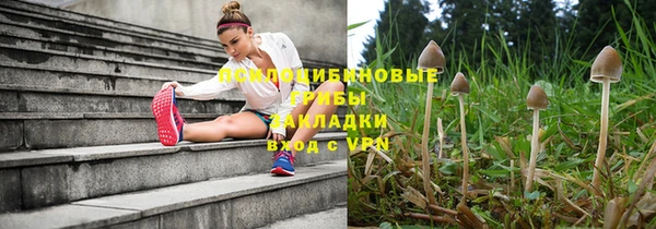 амф Володарск