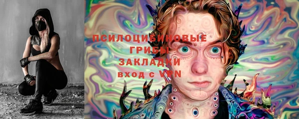 СК Волосово