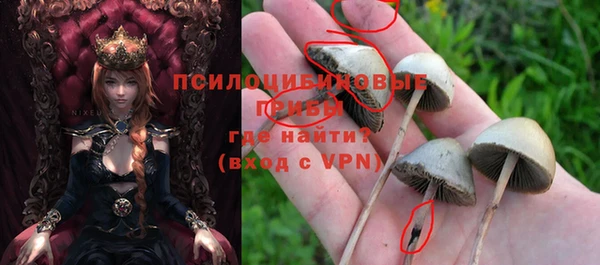 амф Володарск