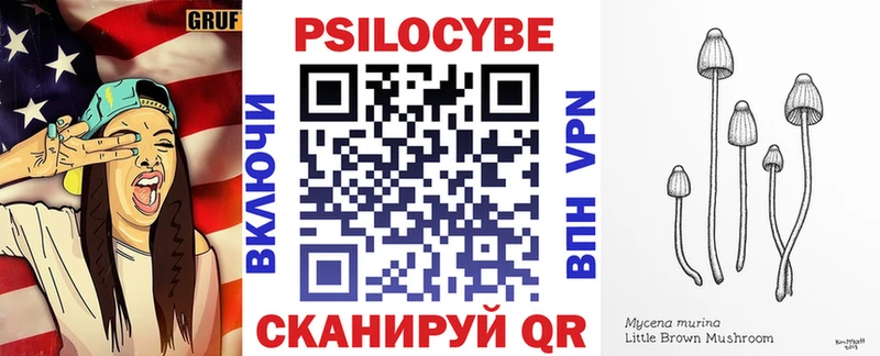 закладка  Шиханы  Псилоцибиновые грибы Psilocybe 